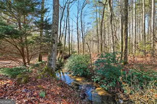 416 Liberty Creek Dr, Clarkesville, GA 30523 - Photo 41