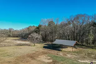 1441 Zenith Mill Rd, Roberta, GA 31078 - Photo 13