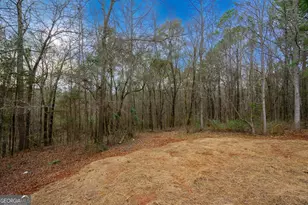 264 S Glenn Rd, Lagrange, GA 30241 - Photo 39