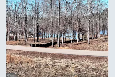 0 Open Water Drive #LOT 61, Greensboro, GA 30642 - Photo 7