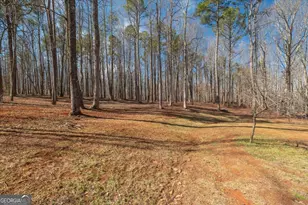 582 Temple Draketown Rd, Temple, GA 30179 - Photo 59