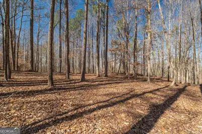 582 Temple Draketown Road, Temple, GA 30179 - Photo 63