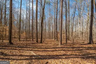 582 Temple Draketown Rd, Temple, GA 30179 - Photo 61