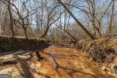 582 Temple Draketown Road, Temple, GA 30179 - Photo 67