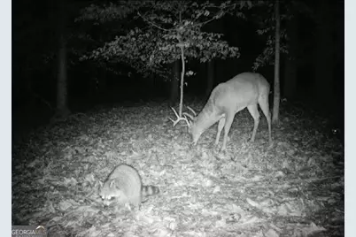 582 Temple Draketown Road, Temple, GA 30179 - Photo 75