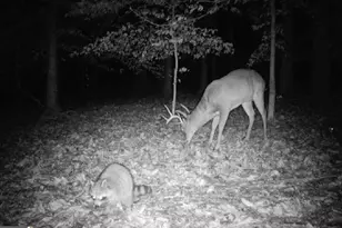 582 Temple Draketown Rd, Temple, GA 30179 - Photo 75