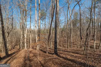 582 Temple Draketown Road, Temple, GA 30179 - Photo 69