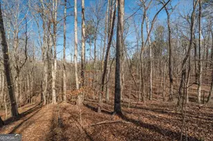 582 Temple Draketown Rd, Temple, GA 30179 - Photo 69