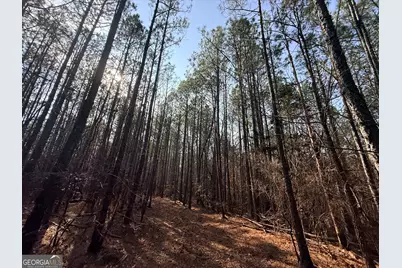 12 Cedar Creek Extension, Elberton, GA 30635 - Photo 33