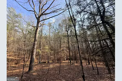 12 Cedar Creek Extension, Elberton, GA 30635 - Photo 51