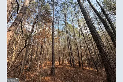 12 Cedar Creek Extension, Elberton, GA 30635 - Photo 29