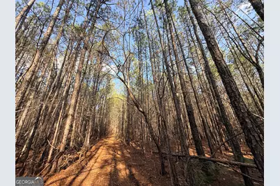 12 Cedar Creek Extension, Elberton, GA 30635 - Photo 57