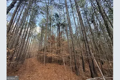 12 Cedar Creek Extension, Elberton, GA 30635 - Photo 61