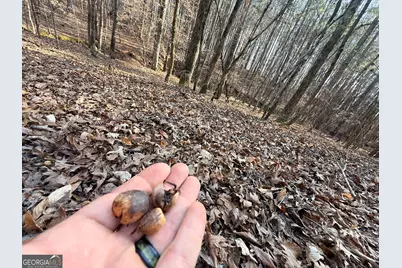 12 Cedar Creek Extension, Elberton, GA 30635 - Photo 55