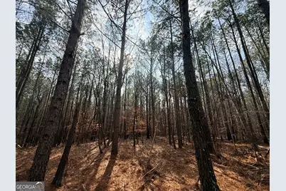 12 Cedar Creek Extension, Elberton, GA 30635 - Photo 5