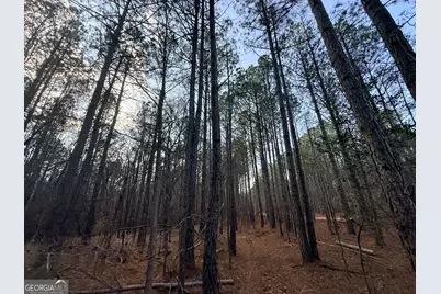 12 Cedar Creek Extension, Elberton, GA 30635 - Photo 63