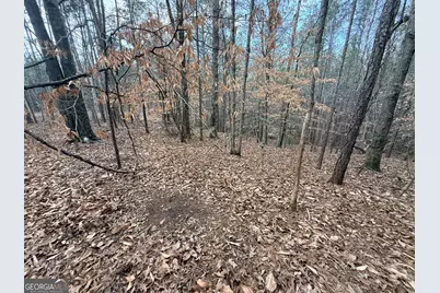 12 Cedar Creek Extension, Elberton, GA 30635 - Photo 39