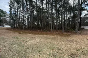 9127 E Carroll Rd, Winston, GA 30187 - Photo 1