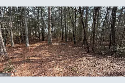 9127 E Carroll Road, Winston, GA 30187 - Photo 3