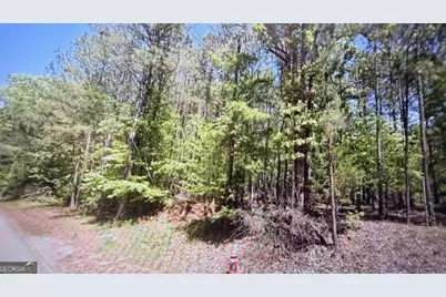 0 Goshen Road, Thomaston, GA 30286 - Photo 5