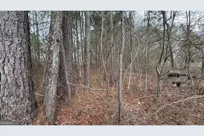 9136 Grampian Court, Winston, GA 30187 - Photo 5