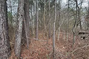 9136 Grampian Ct, Winston, GA 30187 - Photo 5