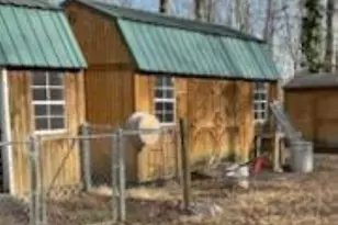 3238 Crosswood Dr, Gainesville, GA 30506 - Photo 17