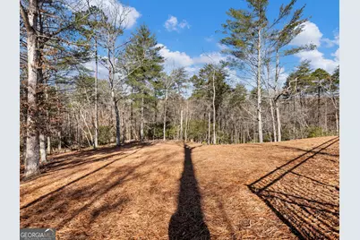 175 Lands End Trail, Cleveland, GA 30528 - Photo 69