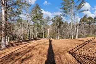 175 Lands End Trl, Cleveland, GA 30528 - Photo 69