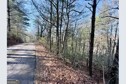 0 Rabun Bluffs Dr, Lakemont, GA 30552 - Photo 5