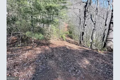 0 Rabun Bluffs Dr, Lakemont, GA 30552 - Photo 1