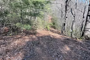 0 Rabun Bluffs Dr, Lakemont, GA 30552 - Photo 1