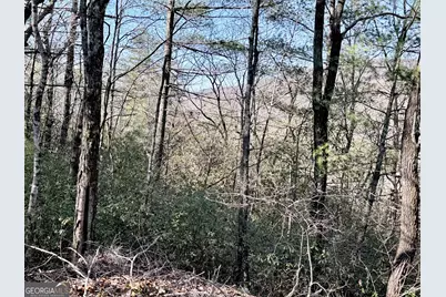 0 Rabun Bluffs Dr, Lakemont, GA 30552 - Photo 3