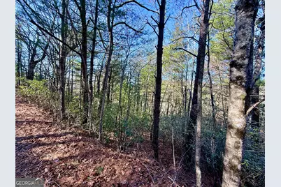 0 Rabun Bluffs Drive, Lakemont, GA 30552 - Photo 5