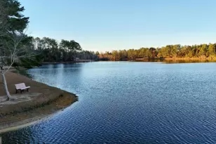 76 Riverwind Trail, Meigs, GA 31765 - Photo 51