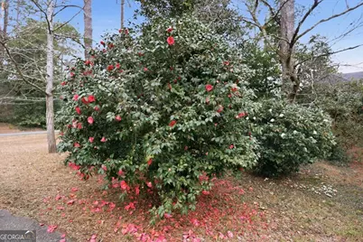 944 Nottingham Drive, Macon, GA 31211 - Photo 31