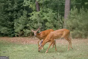 118 Matrix Ln, Ellijay, GA 30540 - Photo 7