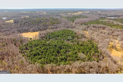 0 Highway 334, Nicholson, GA 30565 - Photo 23