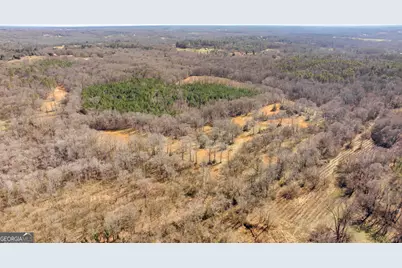 0 Highway 334, Nicholson, GA 30565 - Photo 3
