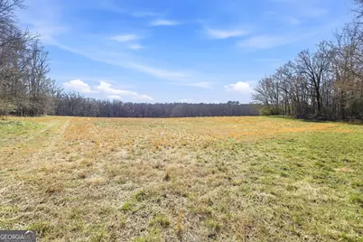 0 Highway 334, Nicholson, GA 30565 - Photo 13