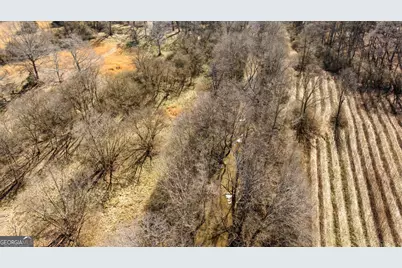 0 Highway 334, Nicholson, GA 30565 - Photo 29