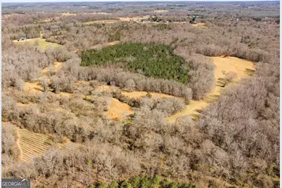 0 Highway 334, Nicholson, GA 30565 - Photo 21