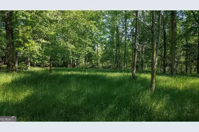 1003 Ga Highway 27 E, Americus, GA 31709 - Photo 35
