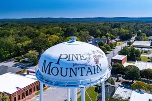 2243 Maple Ln, Pine Mountain, GA 31822 - Photo 31