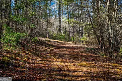Tract B Captains Cove, Blairsville, GA 30512 - Photo 7