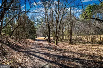 Tract B Captains Cove, Blairsville, GA 30512 - Photo 5
