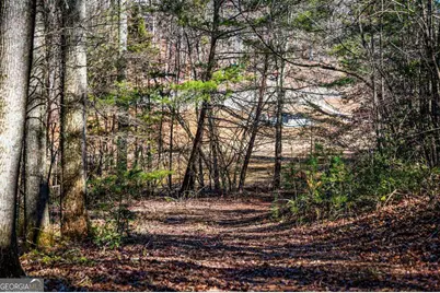 Tract B Captains Cove, Blairsville, GA 30512 - Photo 9