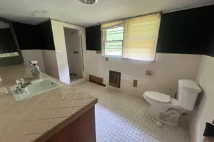 1165 Jaybird Springs Rd, Chauncey, GA 31011 - Photo 15