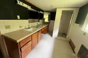 1165 Jaybird Springs Rd, Chauncey, GA 31011 - Photo 17