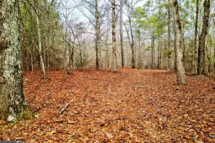 3807 Smithonia Rd, Comer, GA 30629 - Photo 35